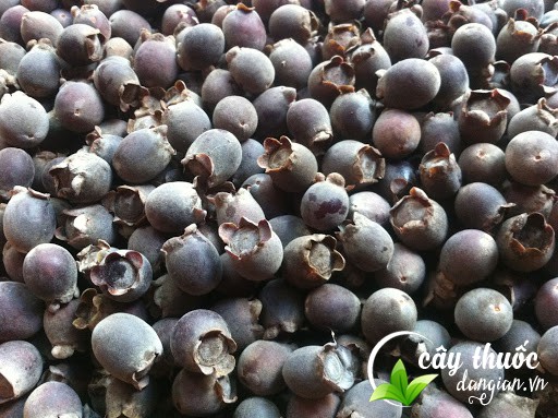 tac-dung-cua-qua-sim-tim